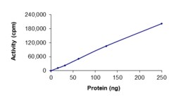 Sino Biological&nbsp;Recombinant Human RET Protein (V804L, GST Tag), Active